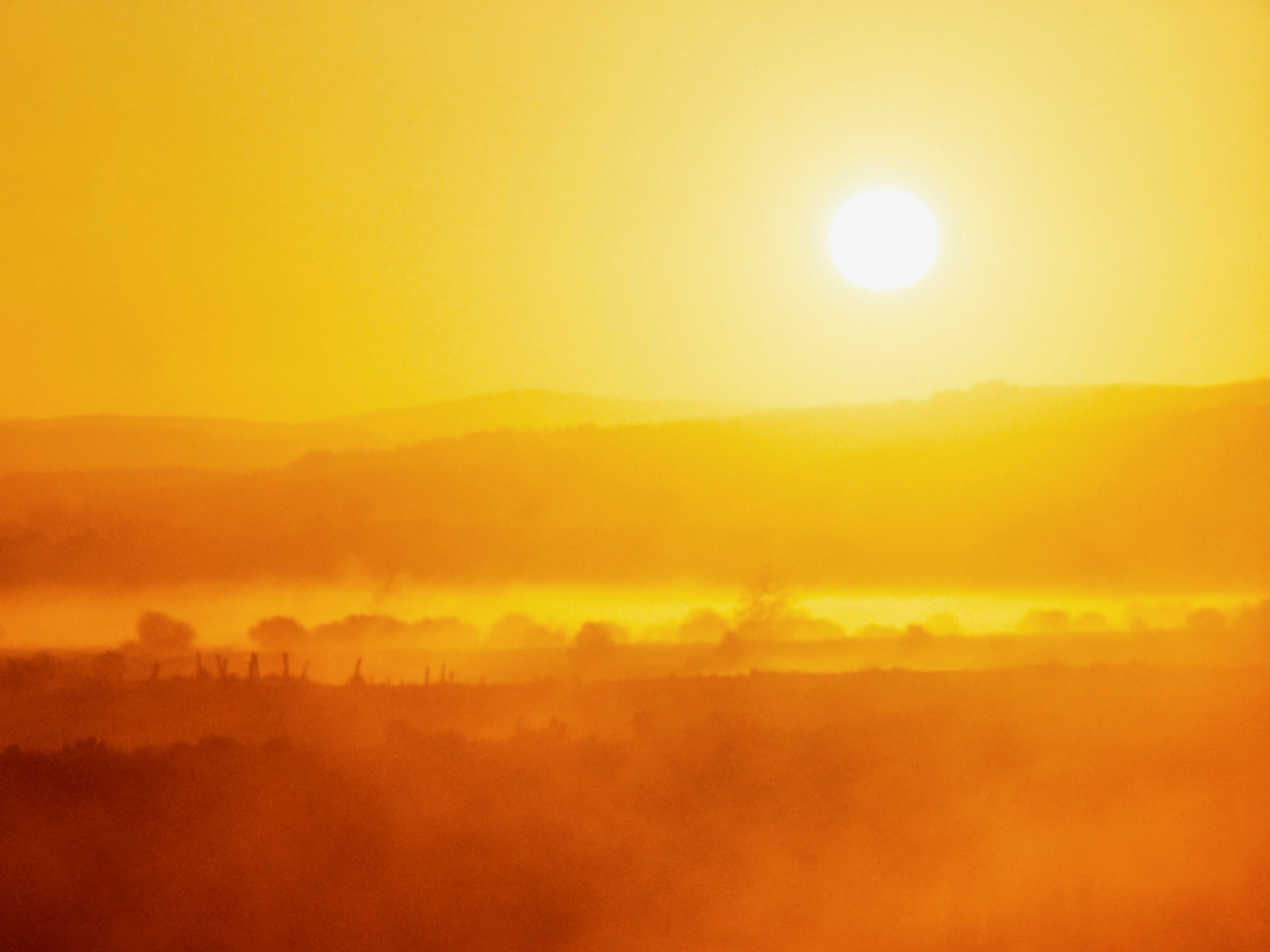 The Sun Cure: Heliotherapy. cover